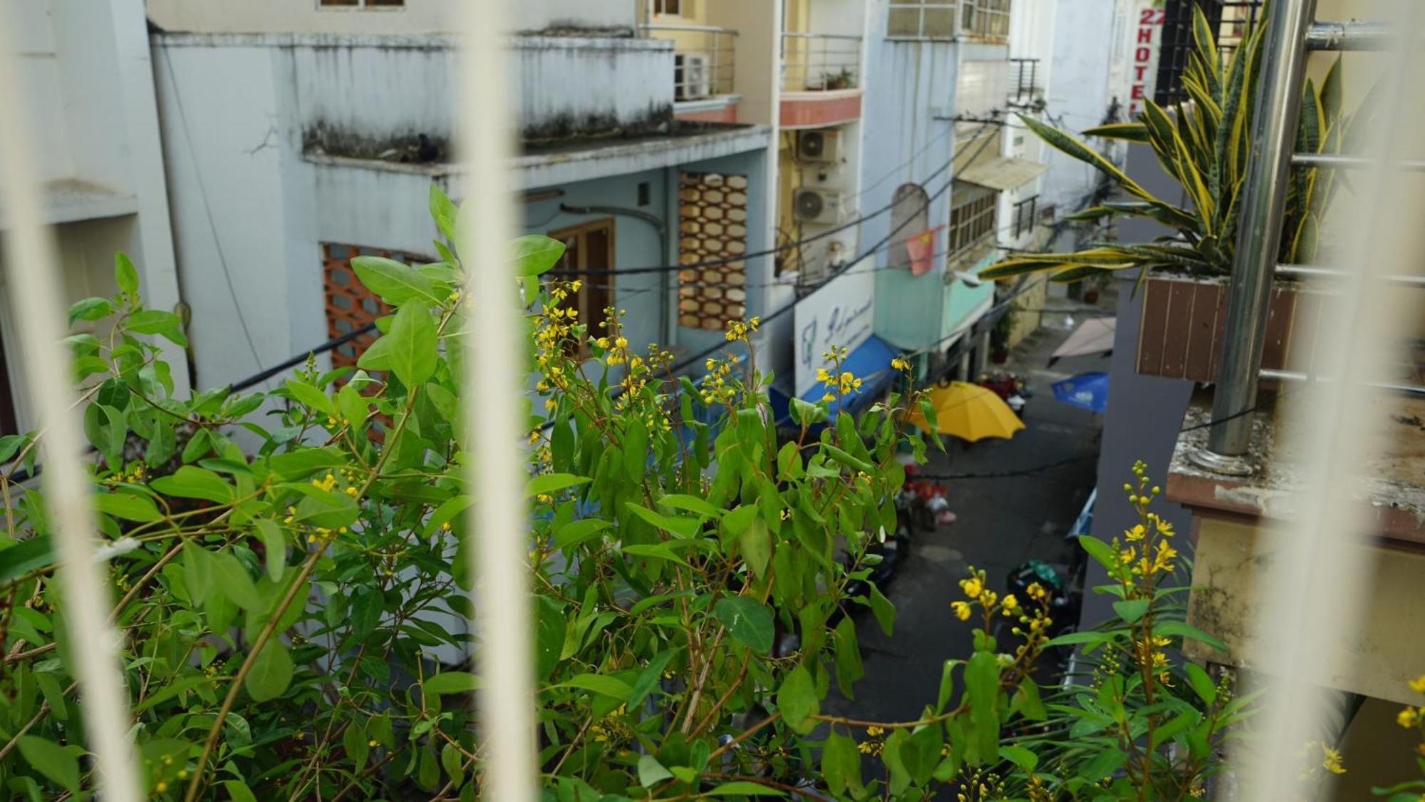 Maiam Homestay Ciudad Ho Chi Minh  Exterior foto